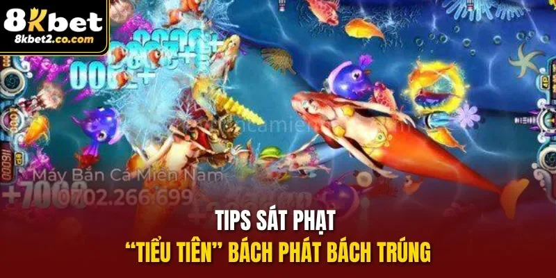 Tips sát phạt “tiểu tiên” bách phát bách trúng