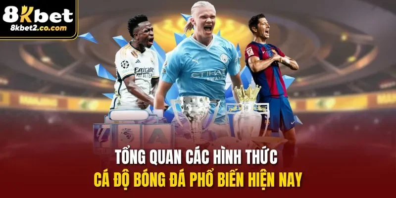Tổng quan các hình thức cá độ bóng đá phổ biến hiện nay