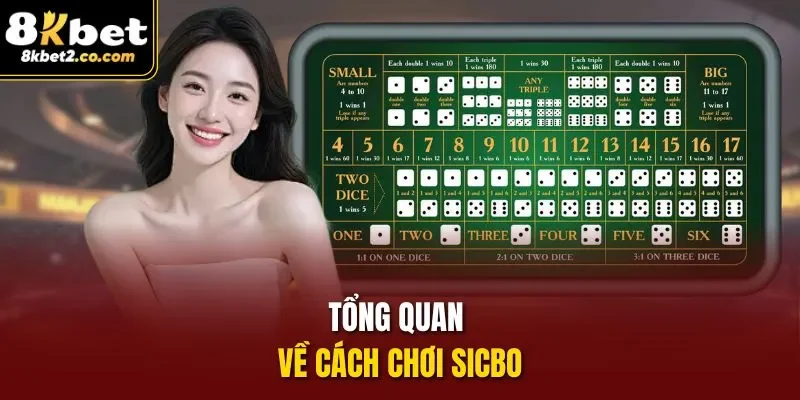 Tổng quan về cách chơi sicbo