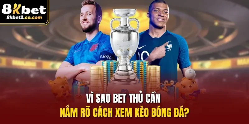 Vì sao bet thủ cần nắm rõ Cách Xem Kèo Bóng Đá?